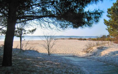 Moulleau : Ce Village Caché qui Fait Vaciller les Géants du Tourisme