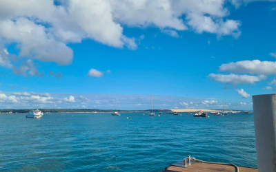 Arcachon et moulleau : balades gourmandes et pépites locales