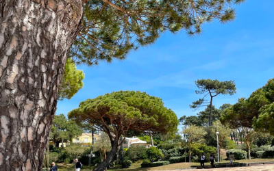 Arcachon et moulleau, neuf angles inédits pour surprendre votre audience