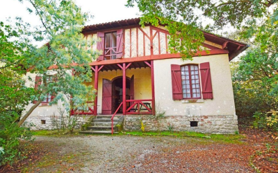 Le moulleau arcachon, bijou discret entre pinède et océan estival